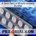 À Quoi Sert Le Miracle Léopard Du Miel 34